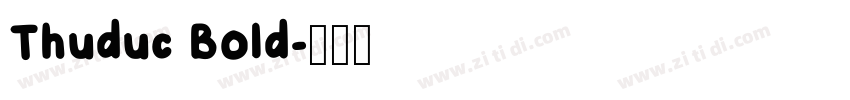 Thuduc Bold字体转换